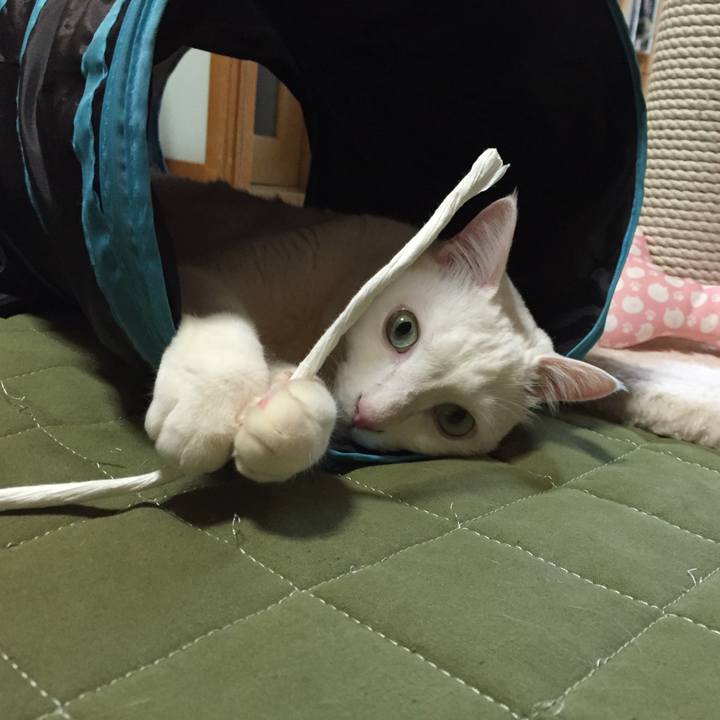 E4fb6701 99b3 4f1c 8464 8feb9b853fb7