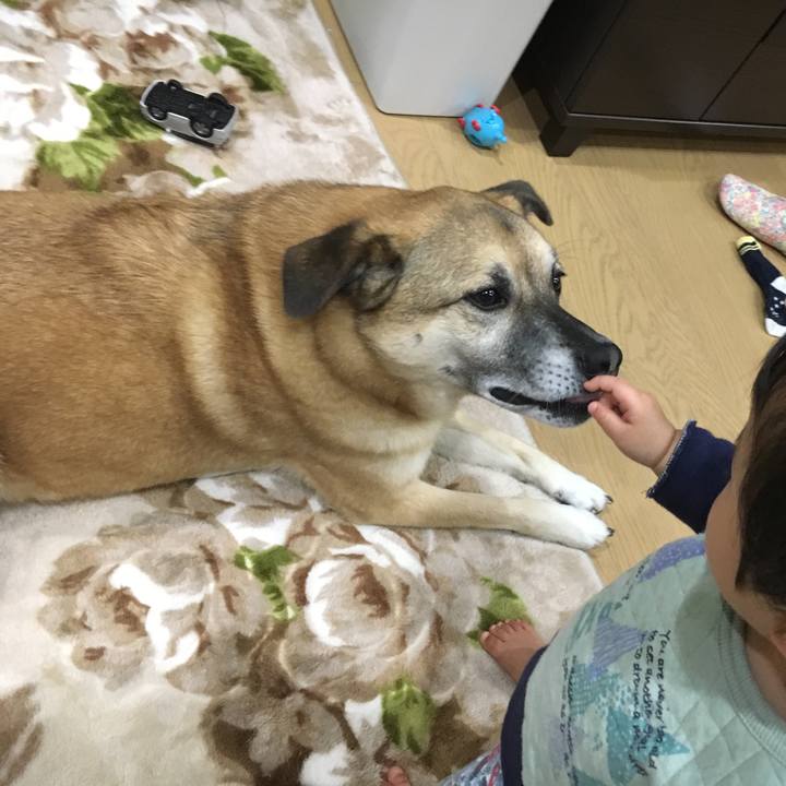 E4fca9ca eec5 4f29 a4b2 5d205bf9f674