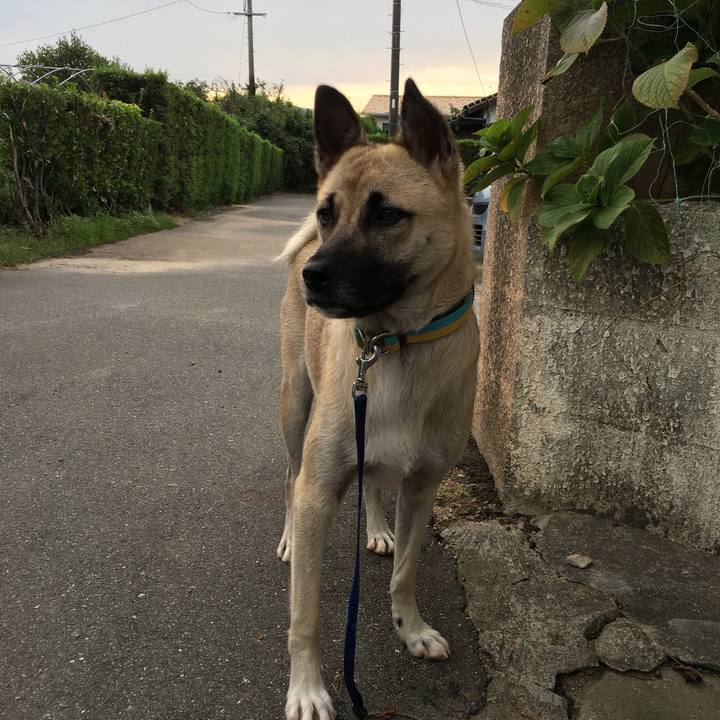 E4fcfe51 0a64 40a1 b727 eddcafa14e0d