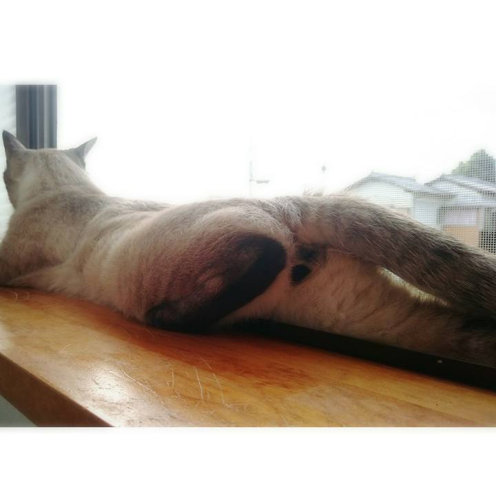 E4fd1812 6fc2 416a 89d3 867d7df69b7d