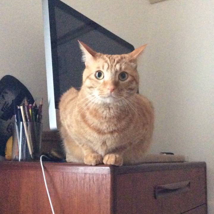 E4fd7357 7db9 4b22 afed c433ea69893d