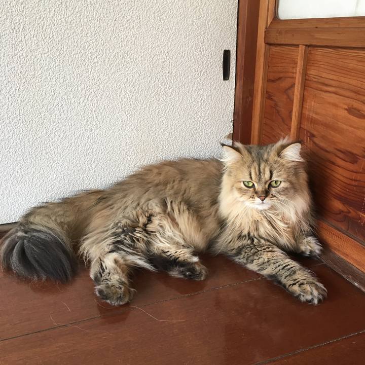 E4fdacd1 e54b 45b4 bf63 c6723b82ffff