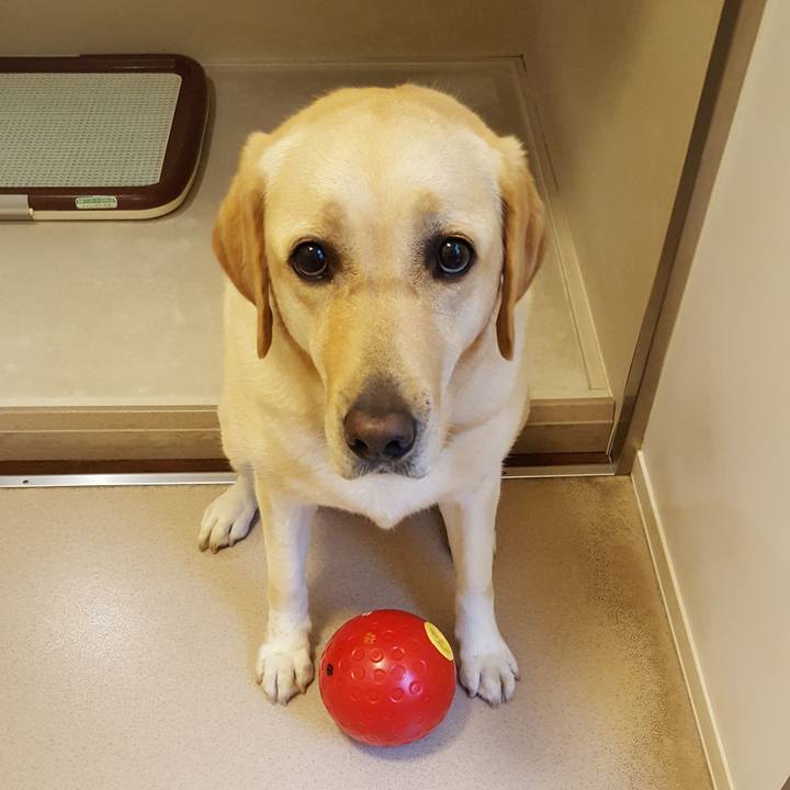 E4fe0ea0 576f 43a8 9e1c 549f4dfa38d2