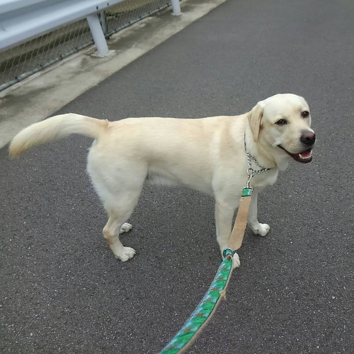 E4ff7e34 610e 4622 96c8 467609647b5f