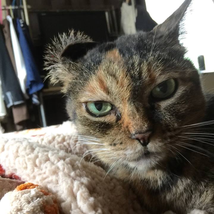 E4ffa796 b07d 4342 b720 2a51c4a4b17d