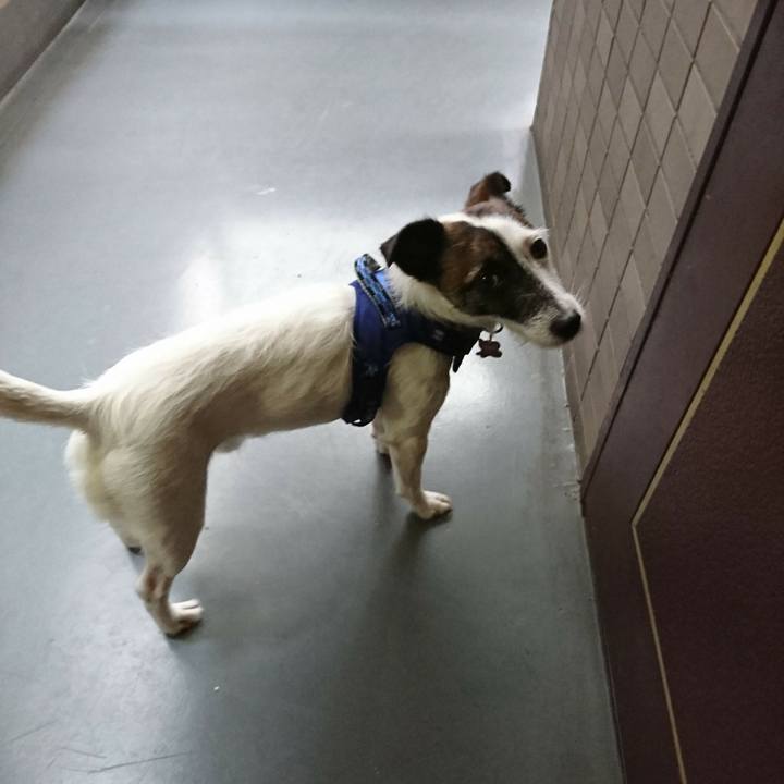 E50074b6 4850 4b6f b327 33384559f619