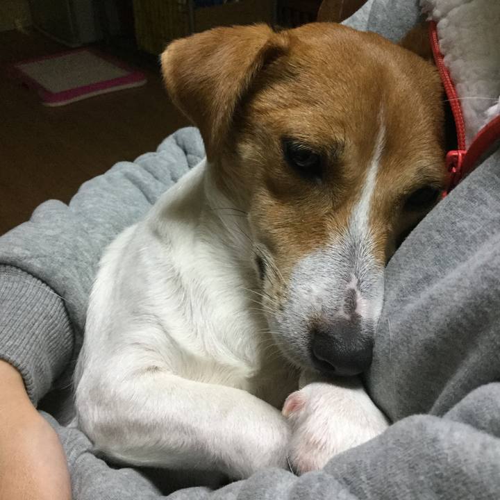 E5038521 44af 4961 9591 80ab5179048b