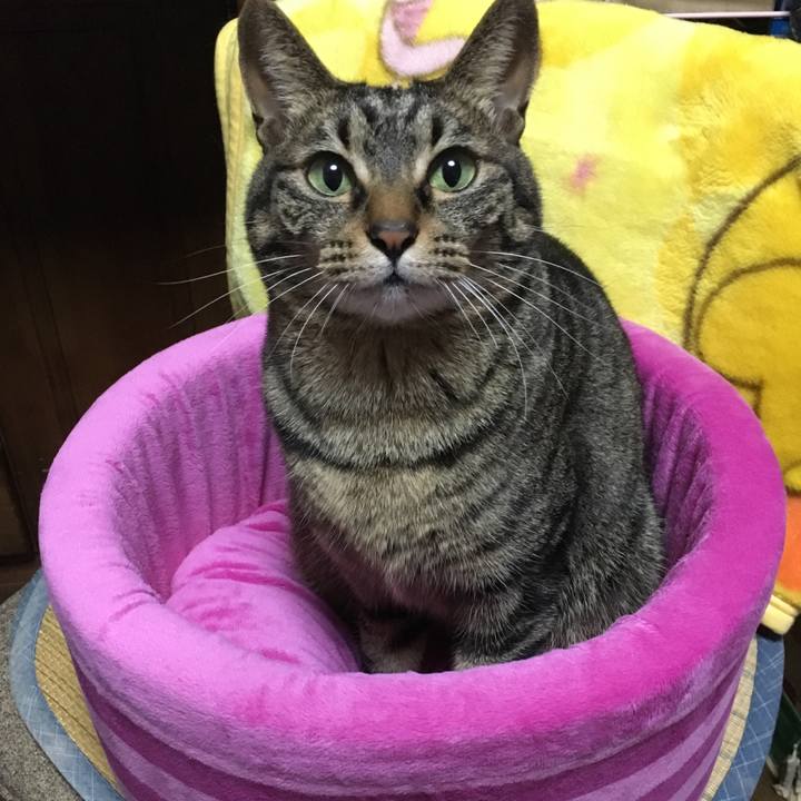 E50398a9 43cd 4f78 9798 12656571e69c