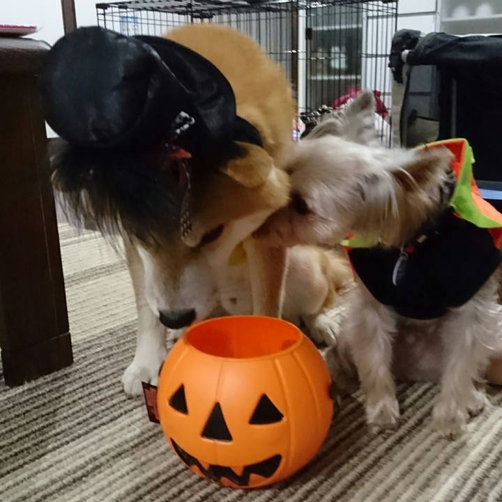 E503de78 f2cc 439a 89eb f0d5537d701b