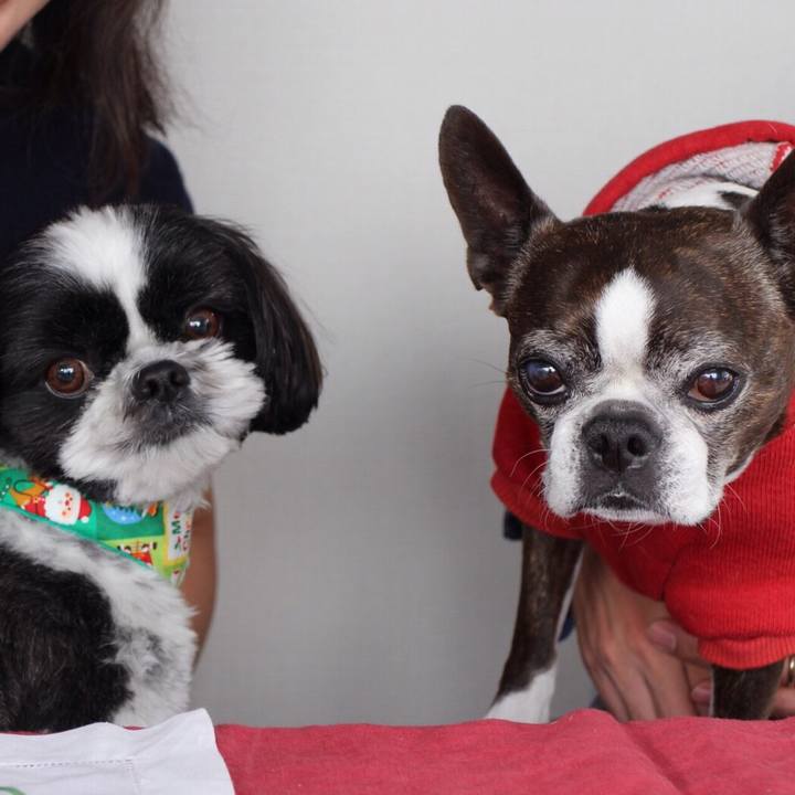 E504f157 7555 493f 9384 b143a0539ffa