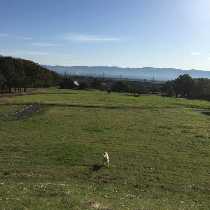 E5063172 1c1b 418f 84c7 918dfc7b2a09