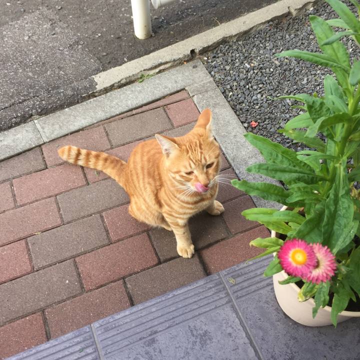 E5066cf9 6476 4f80 ad28 9c304dac85b9