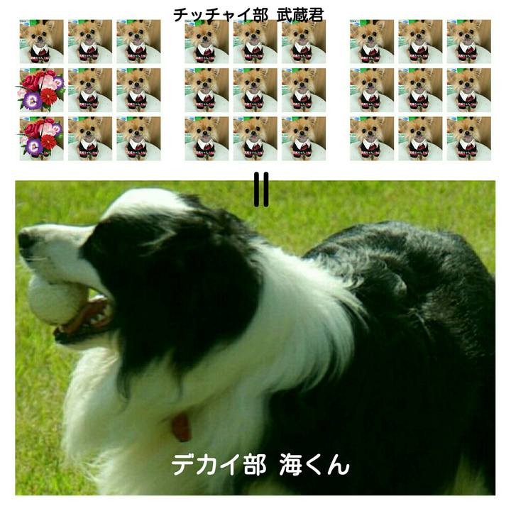 E506932a c578 473b 8949 55af9a797697