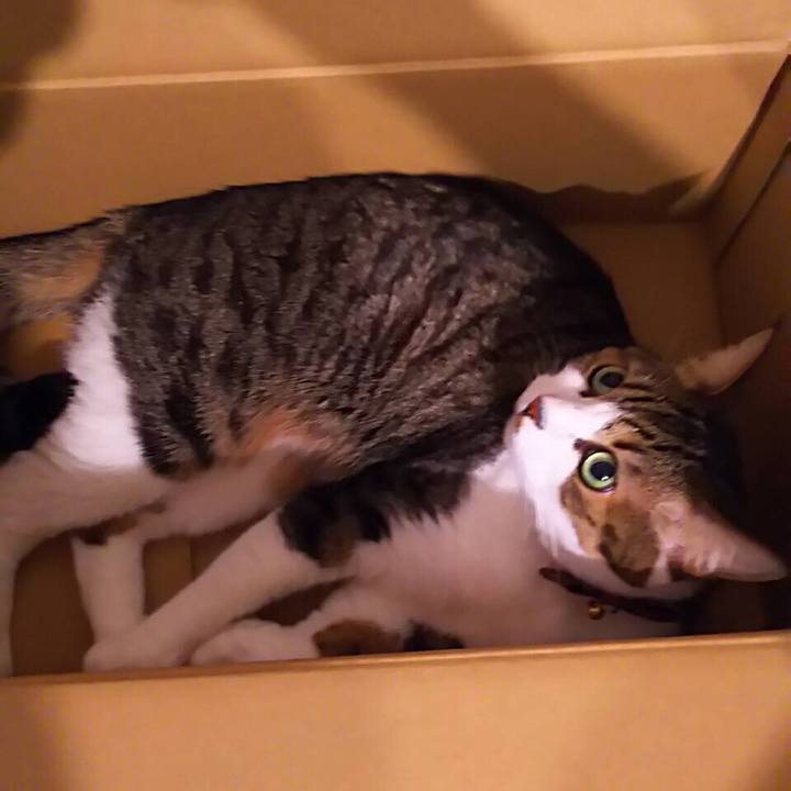 E5074f24 4964 4d33 8827 b2a62a460fef