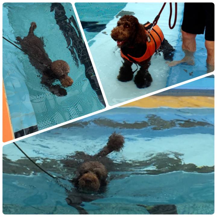 E507ea34 f7e4 4eb4 8ee3 bee77a54753c