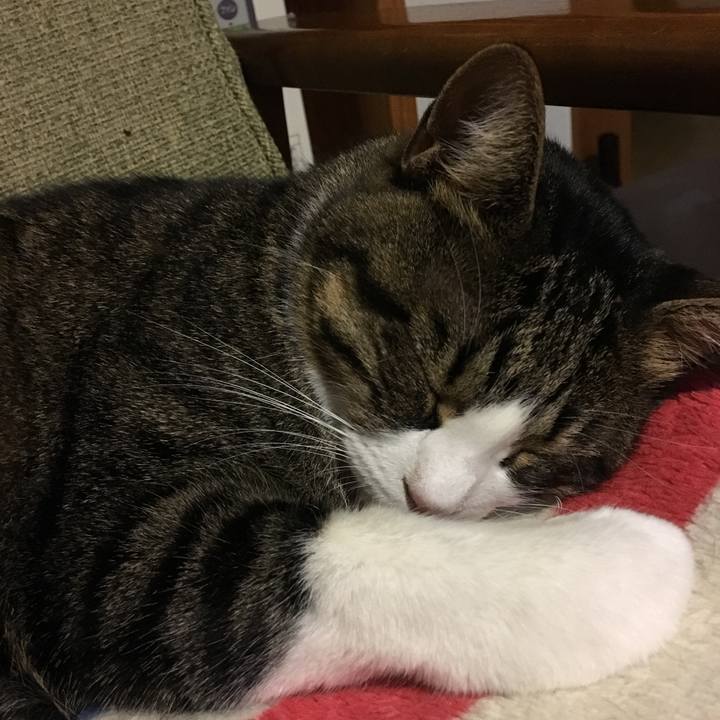 E50867e3 128b 41b6 bb25 19d07a0b5e97