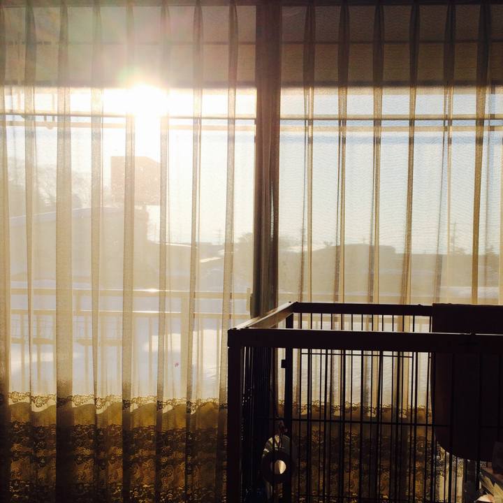 E5089d59 4a3f 49b0 b6b5 7d5ca8235cb5