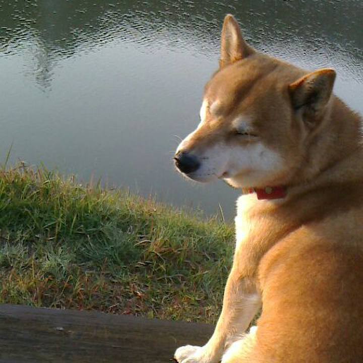 E5098b66 1213 4b07 9968 c8f155255593