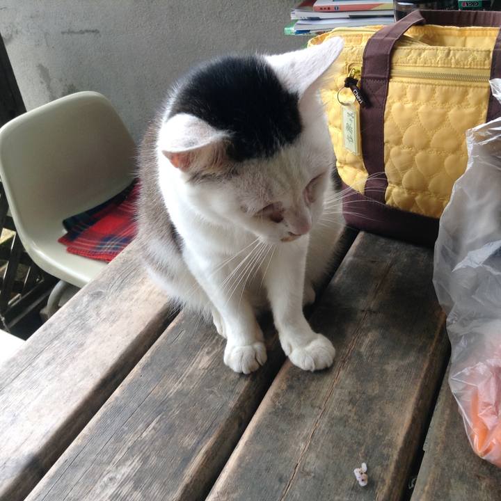 E509a319 9481 4fe0 941d 3515c6d00302