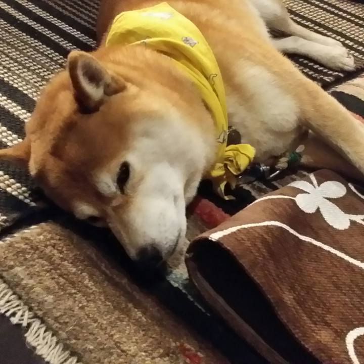 E50a7910 a335 4b26 957e f98eafacf8cd