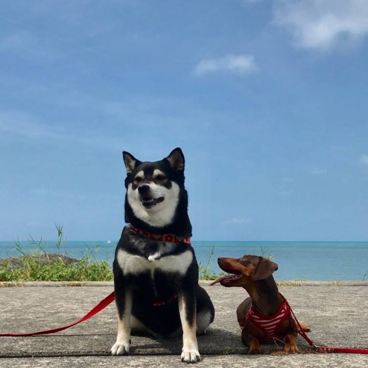 E50aa4c6 3f26 454b 9ffa cedcca9194bf