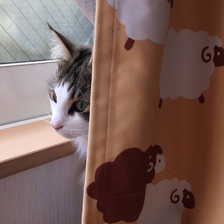 E50af92f 0a4a 451a 8efc 3e9d09c9d9ef