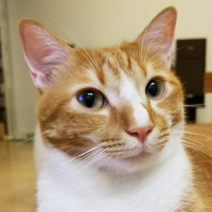 E50b3467 04e8 4bcf 94fb a90fe674825f