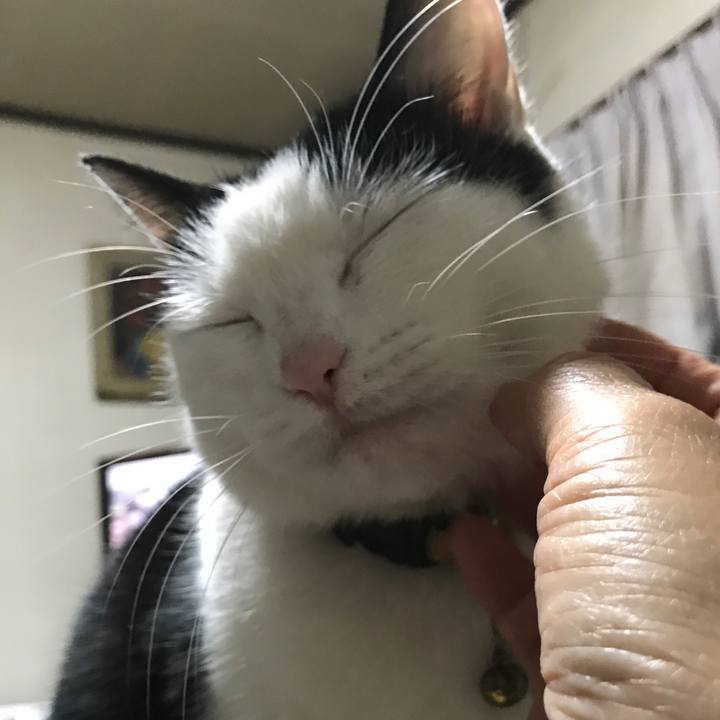 E50c85cc 23d4 4dd6 b338 ae41f9f92aa6