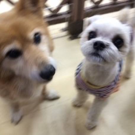 E50cff56 6804 47a6 b5fd a38f175f849f