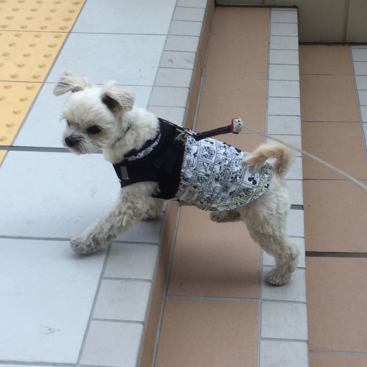 E50d1c34 38b9 401d 8af8 1c914a907879