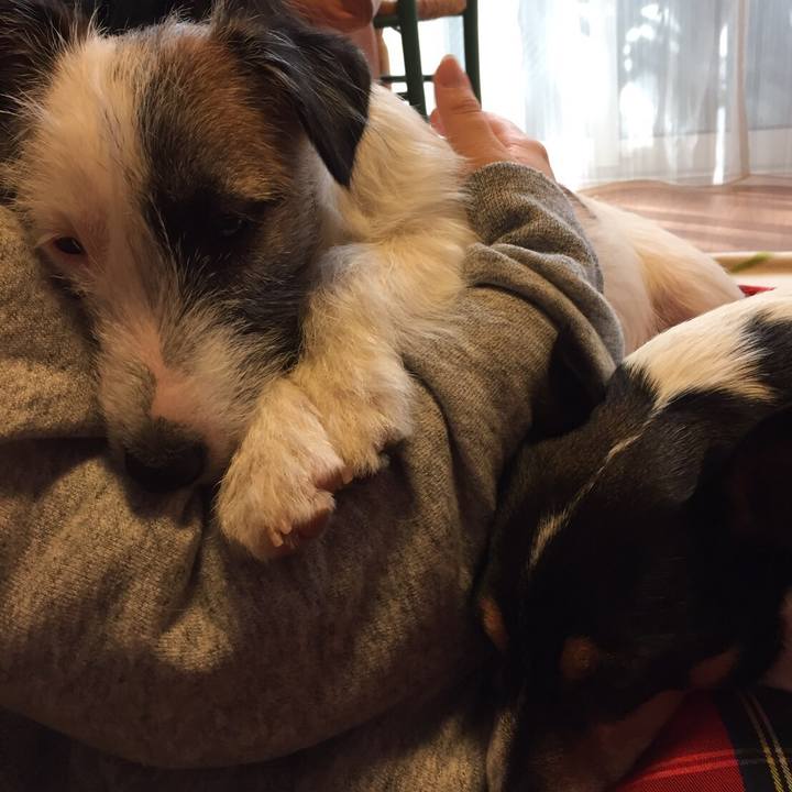 E50d4166 177f 47e1 8e3d 682957b87b1a