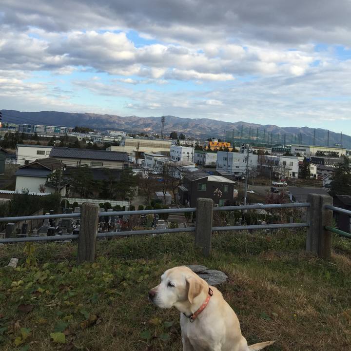 E50d417d 1a49 4bcf b410 0eca7cb6b825