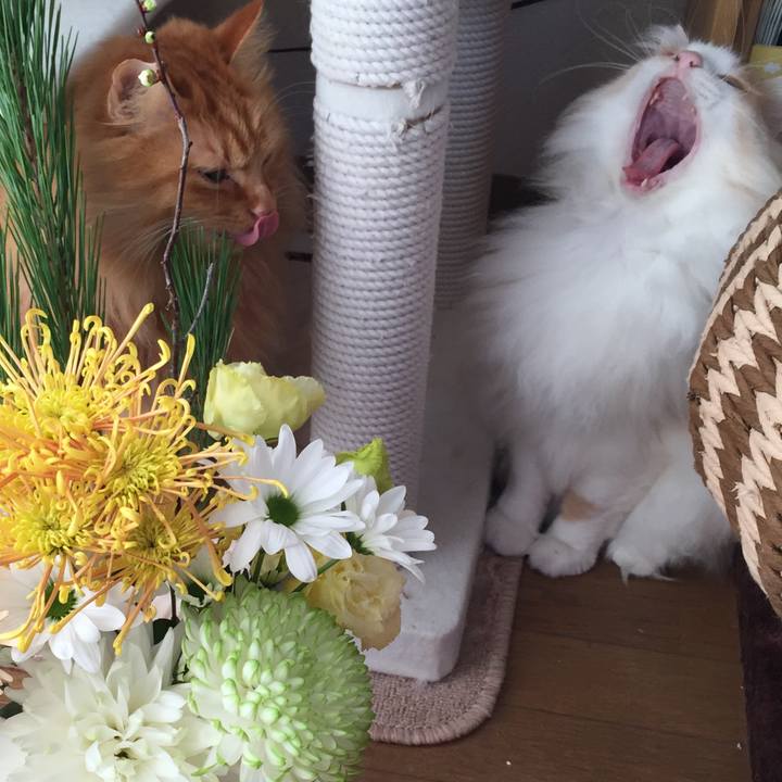 E50d4bc4 3aad 4d34 b0b4 7c23723f9d78