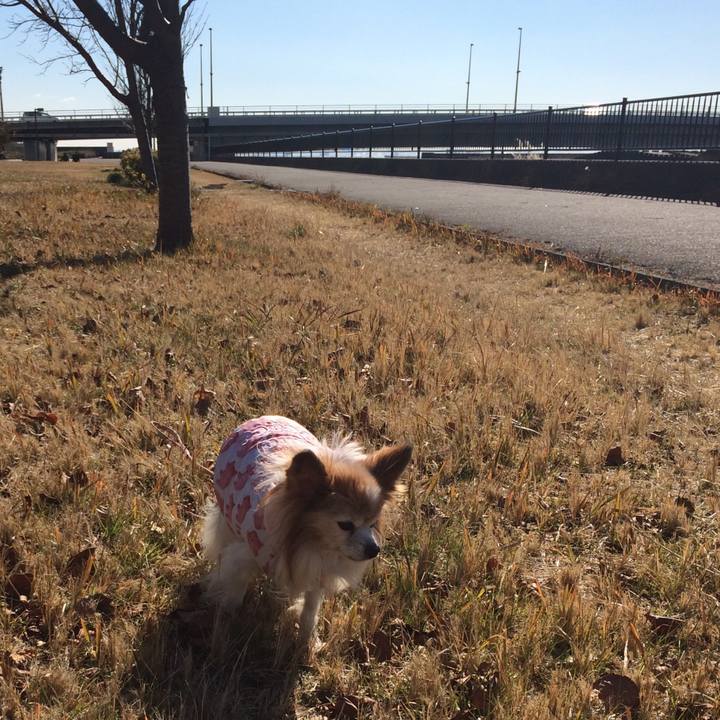 E50d556d 751a 43fa 8e83 34e4eb90331e