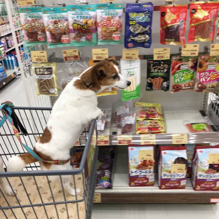 E50e4c02 1f5e 48d1 b3c1 1c5365b61111