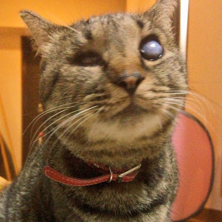 E50f5f7e 2ce6 483f 9713 28012f718e91