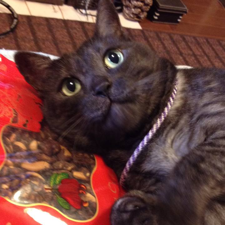 E50f6d3b ca92 4971 8510 392a8a0b2621