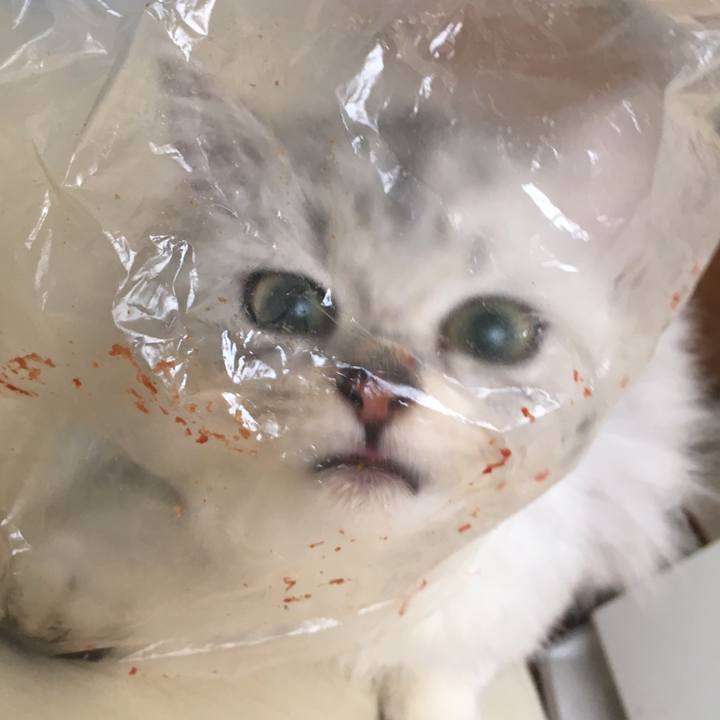 E5102c4d 2610 4e35 ae3f eebb96be4de5