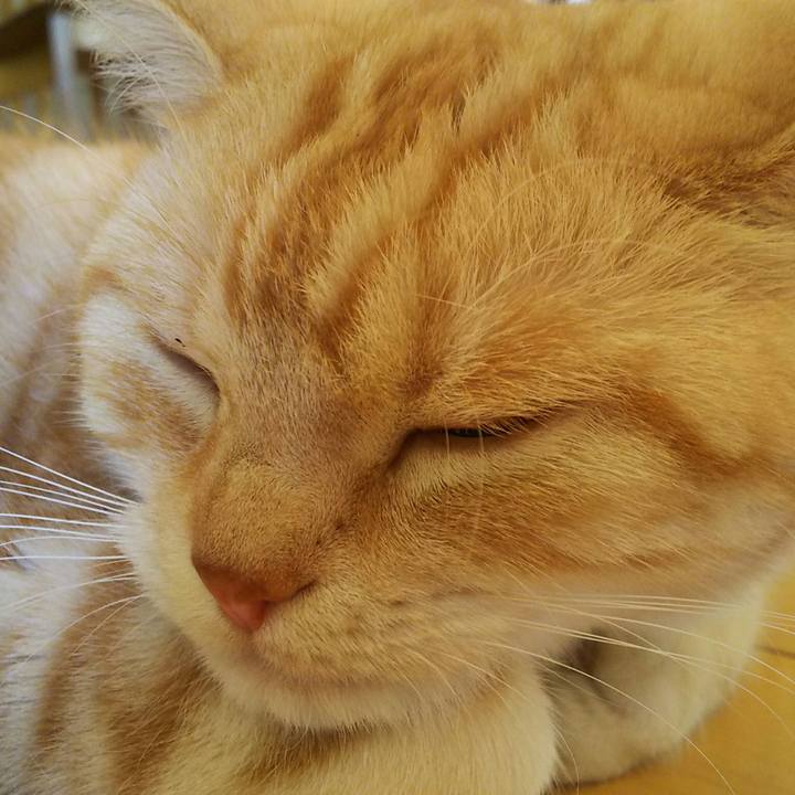 E51031f5 1c9b 4aeb a8f4 40b37310b6db