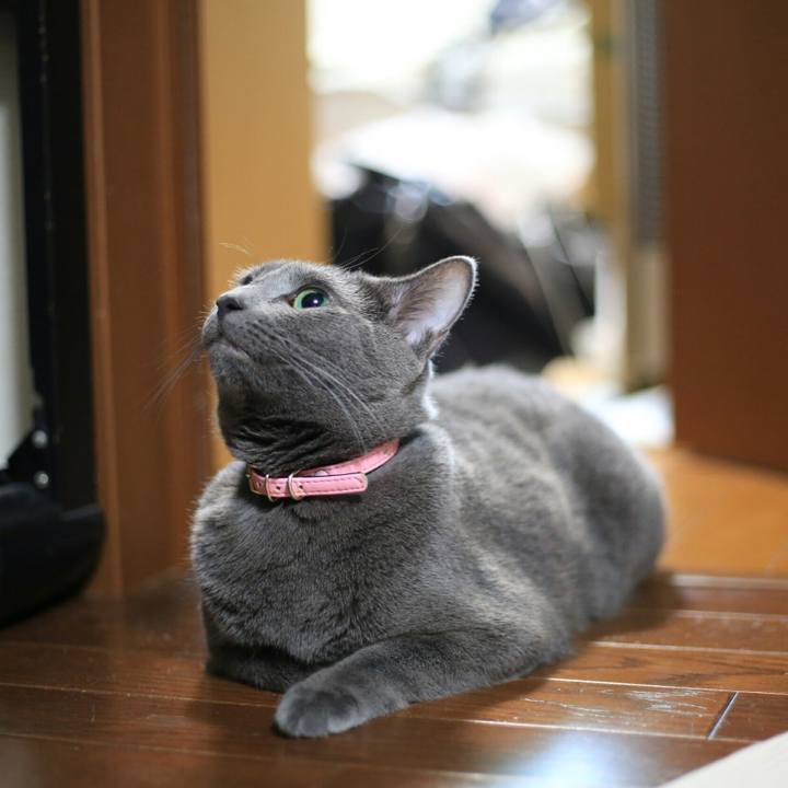 E5109691 dda8 4db5 89e3 96fe2f21cbd8