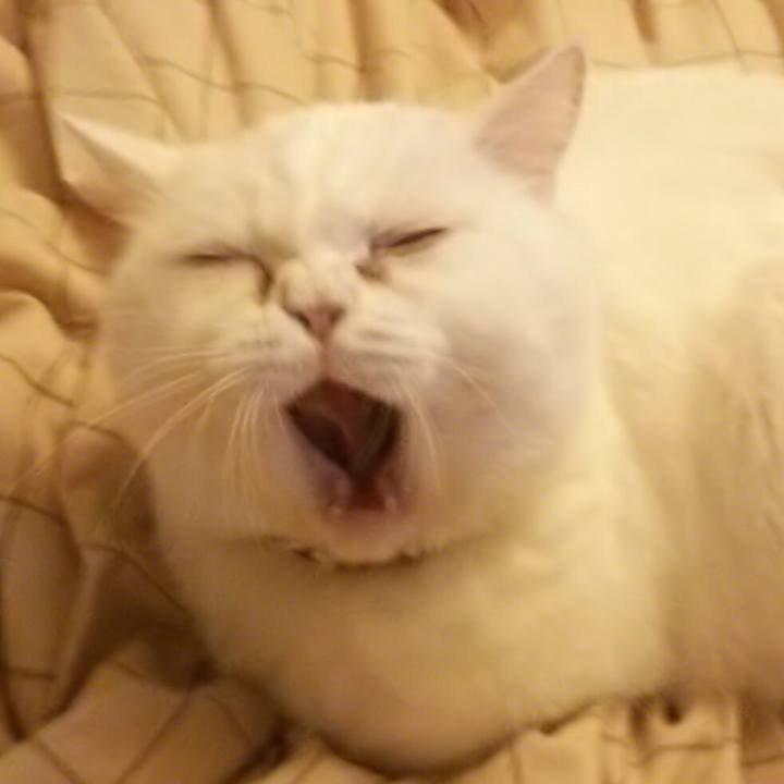 E510d9c7 4894 46a6 b349 f4abde5240b2