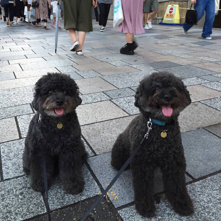 E510e0b5 132b 4ba3 a253 8326c2931249