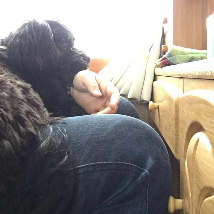 E5111bb7 a0e5 42ed b72a 20c172c30a92