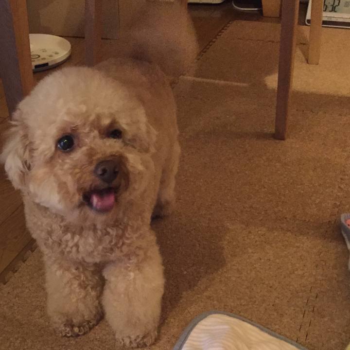 E51125ba 2af4 4a19 a1e9 aca224010291