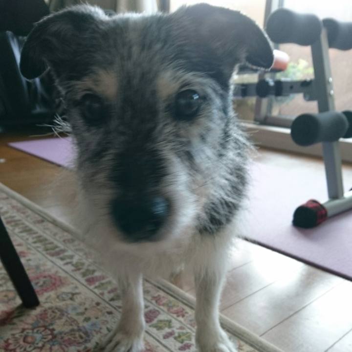 E511569f 0d5d 45ae 89b1 30e41966a2cf