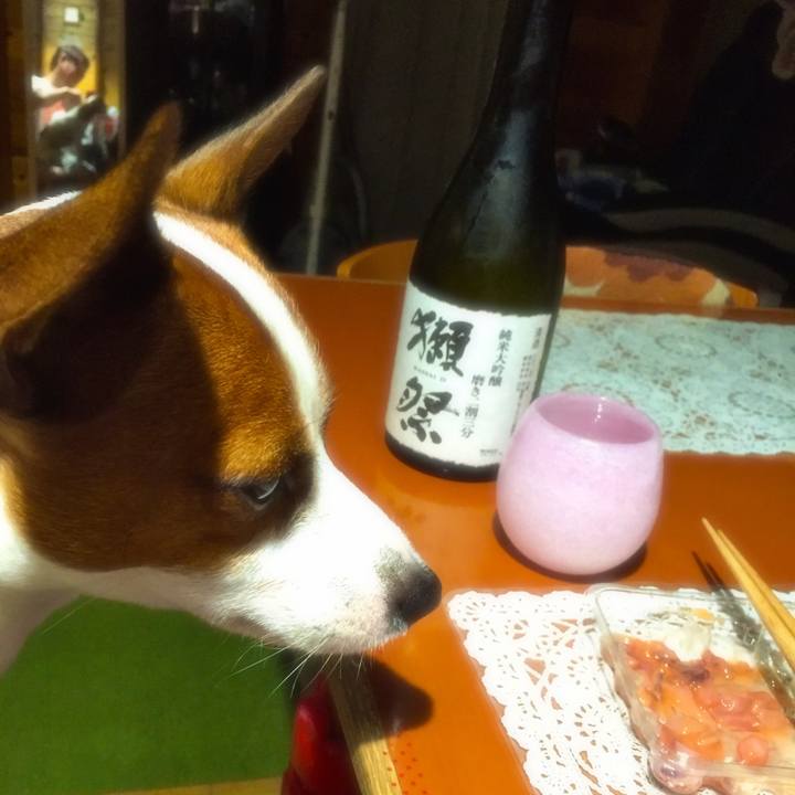 E511c92d a117 4a4b b5e2 a33d492d3130