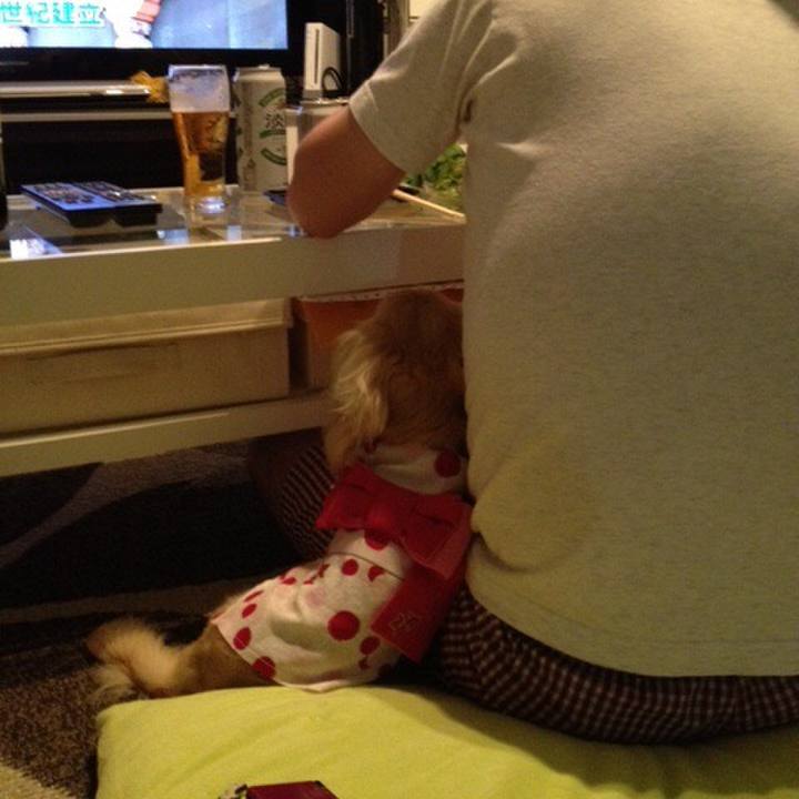 E511e6aa 0434 4714 8004 6aee033f21c8