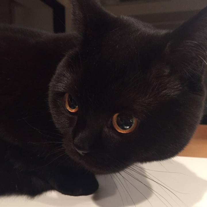 E5120b2b 1af7 4c3b 902f 982e5a06f9e9