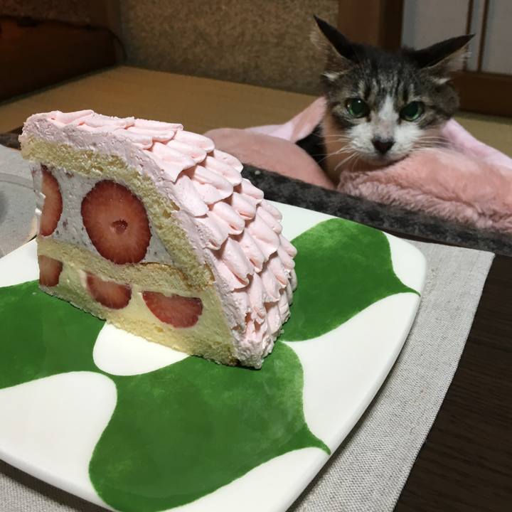 E51296fa 8336 4718 a36f 2b1ecbe2994c