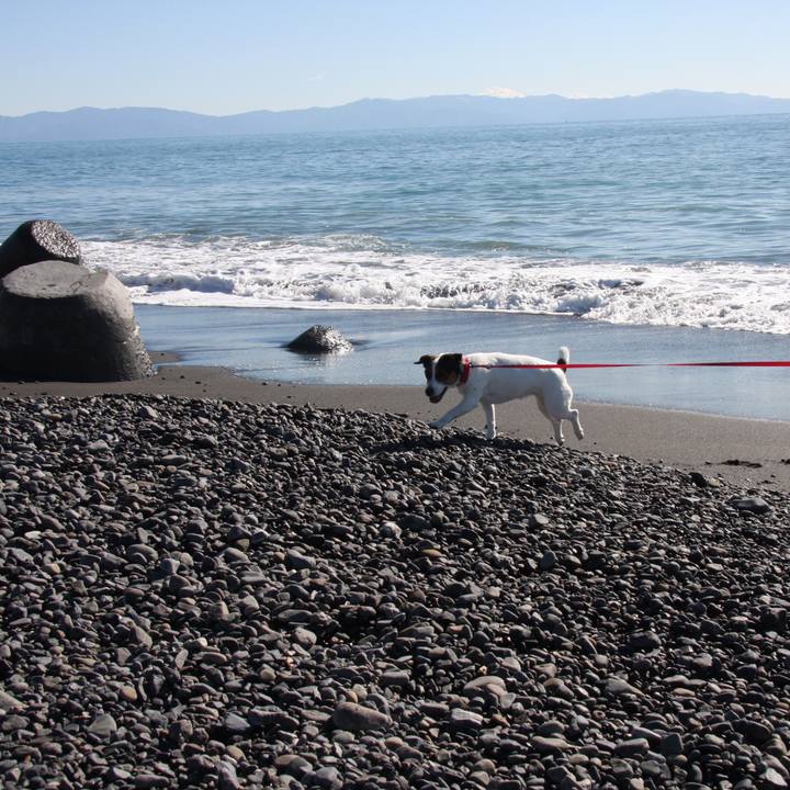 E512d65f d0ca 41a0 8ac5 004826677159